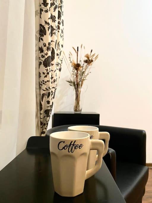 Harmony Homes- Piata Unirii Central Apartament Timişoara Extérieur photo