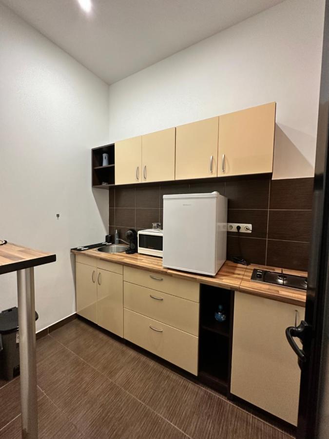 Harmony Homes- Piata Unirii Central Apartament Timişoara Extérieur photo