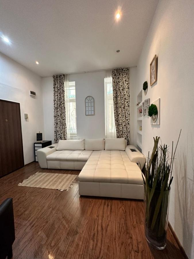 Harmony Homes- Piata Unirii Central Apartament Timişoara Extérieur photo